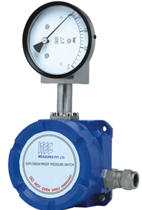 Differential pressure gauge, Ex-proof indicating switch (P403)