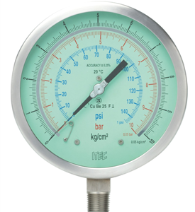 SS case test gauge (Acc. ±0.25%) (P801)