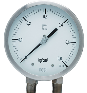 Differential pressure gauge, bellow type (P303)