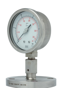 Integral diaphragm seal gauge, flanged (P704)